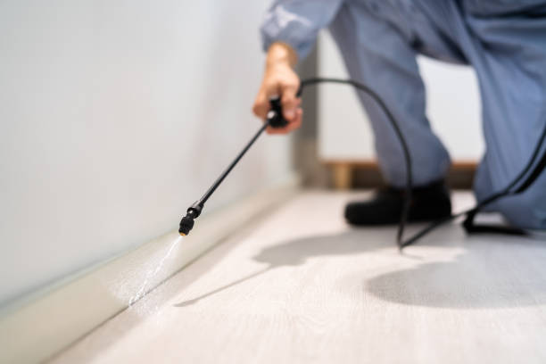 Licensed Rodent Control service in Hillcrest, IL - Nex Pest Control