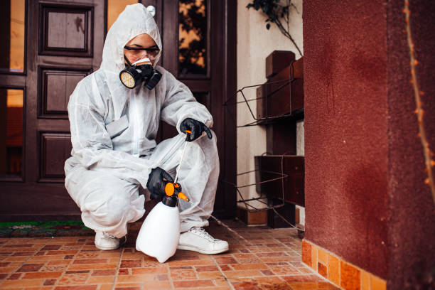Reliable Rodent Control contractor in Hillcrest, IL by Nex Pest Control
