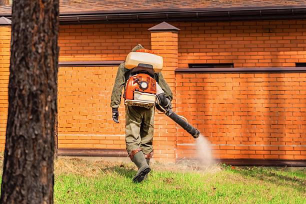 Trusted Rodent Control service in Hillcrest, IL - Nex Pest Control